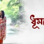 Dhumketu Box Office Collection: A Shooting Star That Up Bengali